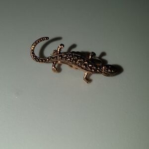 Bronze Lizard Pin